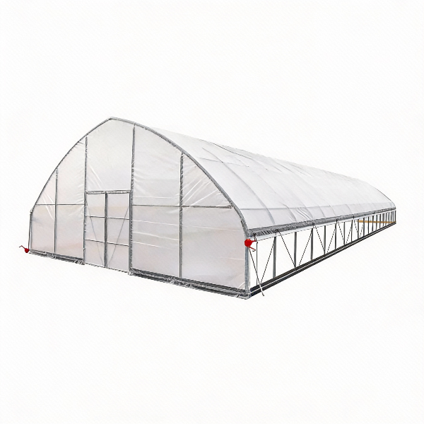 EMC 30'x80'x15' Heavy-duty High Tunnel Greenhouse - 150 Micron Film Covering - Two Sided Ventilation